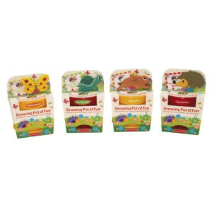 Grow your own vegetables and flowers