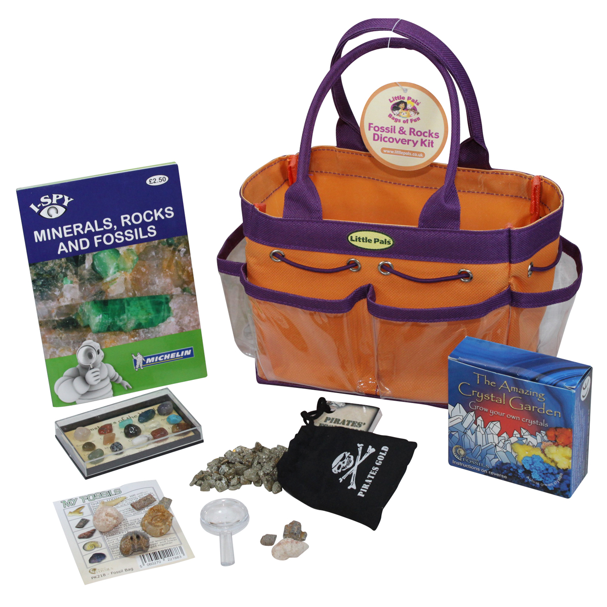 Fossil and Rocks Discovery Kit