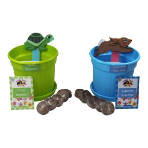 beanstalk and sugarsnap