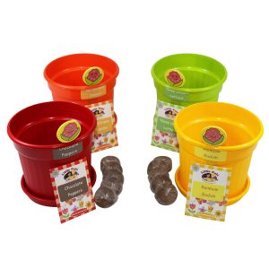 jazzy salad pots