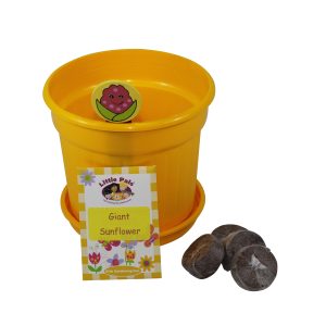 Giant Sunflower Gardening Set 3