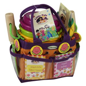 Snack Box Salad 2