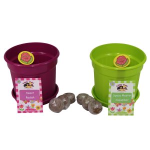 Snack Box Salad Pots